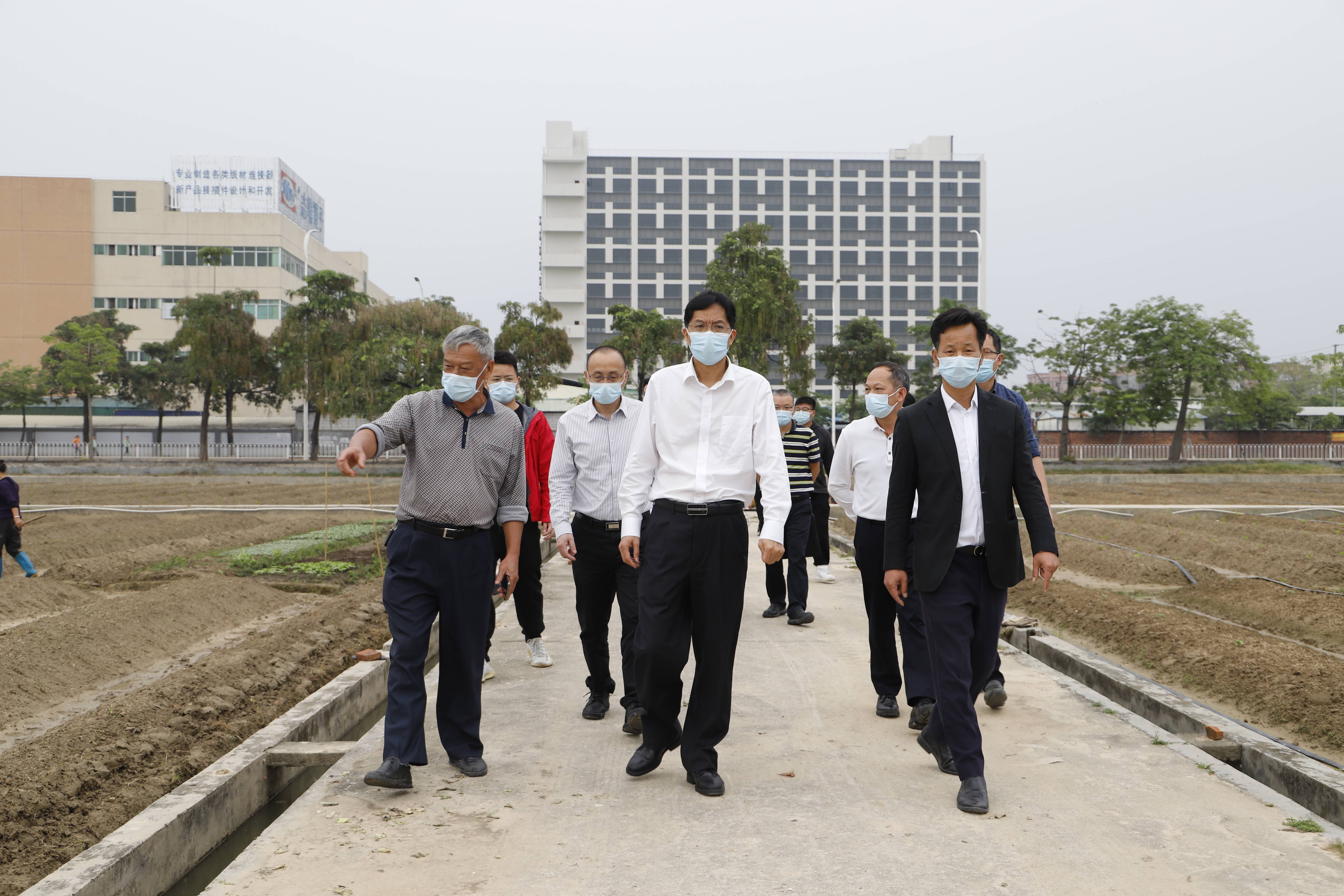 市農業農村局局長吳美良蒞臨我司調研農業龍頭企業工作